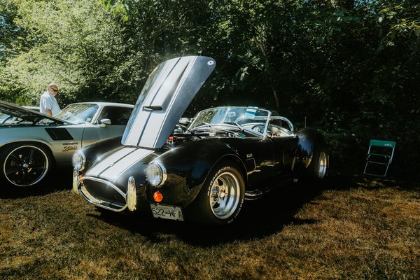 Carte grise : guide pratique pour un changement d'adresse réussi